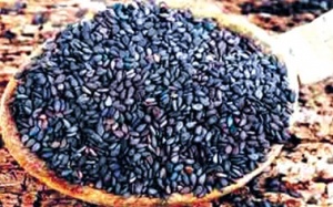 Bánh vừng đen chữa đái tháo đường